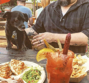 The Animalista Austin pet friendly restaurants - Cosmic Coffee