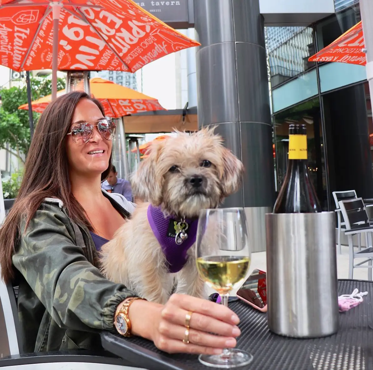 The Animalista Chicago pet friendly restaurants