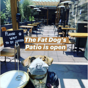 The Animalista LA pet friendly restaurants - The Fat Dog