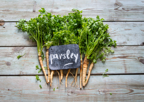 use parsley for dog bad breath