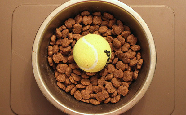 Use a tennis ball to slow your dog's eating