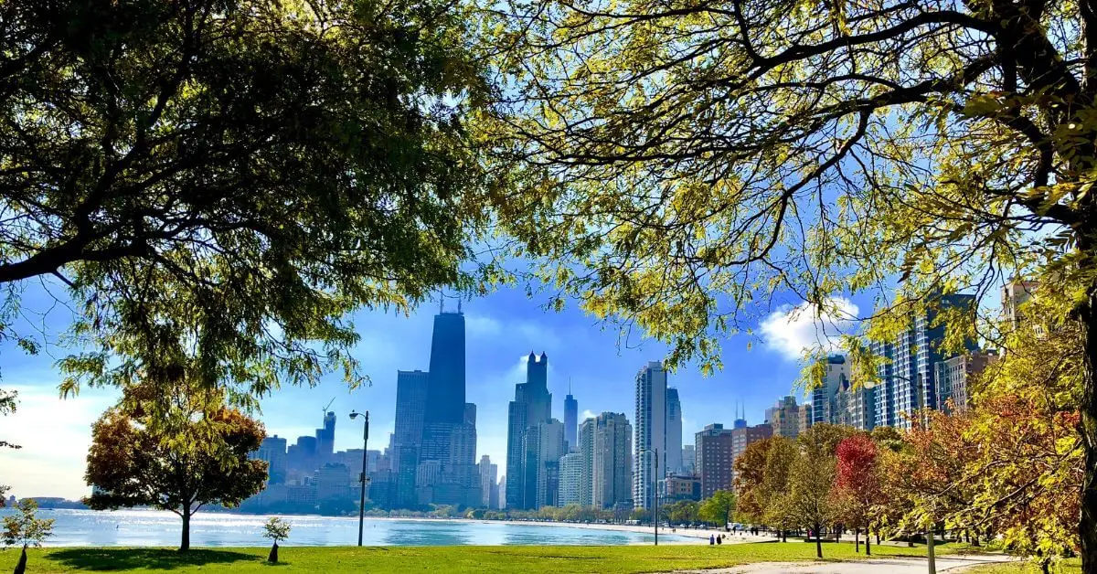 Pet-friendly activities in Chicago